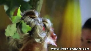 Két dögös csaj kényezteti egymást a természetben